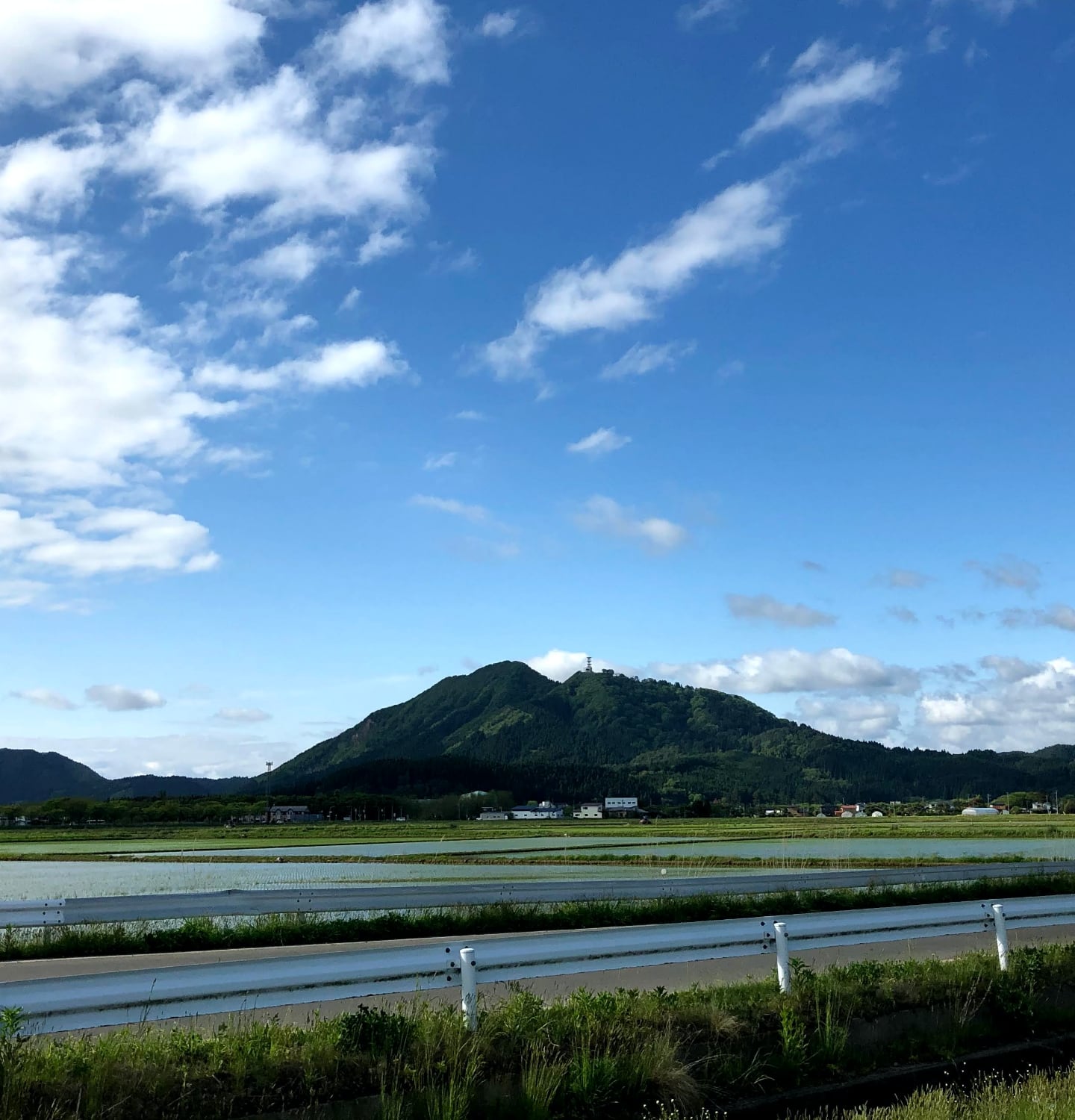 migakiba gojomeのイメージ写真。青々とした五城目町の森山の上には希望の塔、森山の麓には田園風景が広がっています。