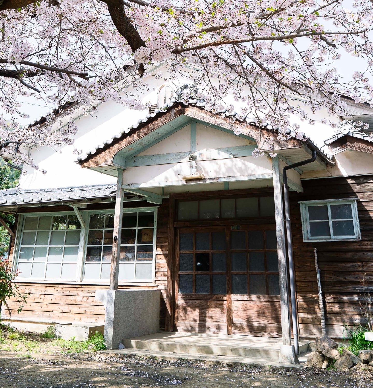 migakiba kureのイメージ写真。現地事務局・一般社団法人まめなの拠点である旧梶原医院の入り口写真です。上部には花が咲いた桜の木、木造の旧梶原医院の様子が写っています。