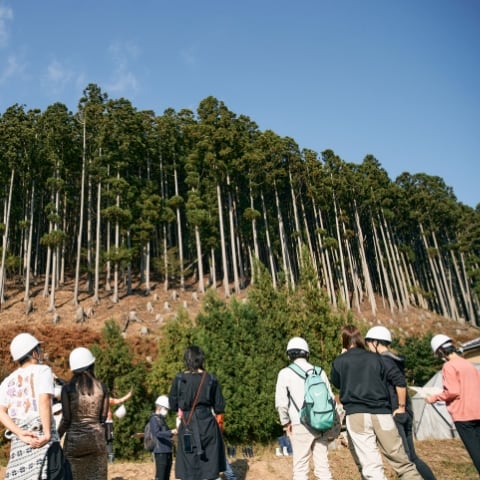 フィールドワーク中、参加者が山の中で森林の生態系を学んでいる様子です。