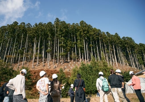 フィールドワーク中、参加者が山の中で森林の生態系を学んでいる様子です。