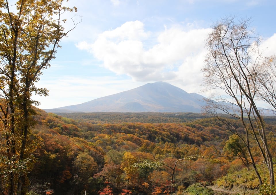 migakiba kitakaruizawaのイメージ画像。浅間山と紅葉する樹林が写っています。