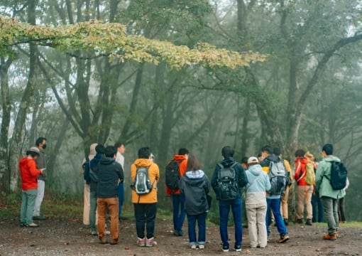 フィールドワーク参加者が霧雨の中できたもっくの森に生えている広葉樹について、説明を聞いている様子です。