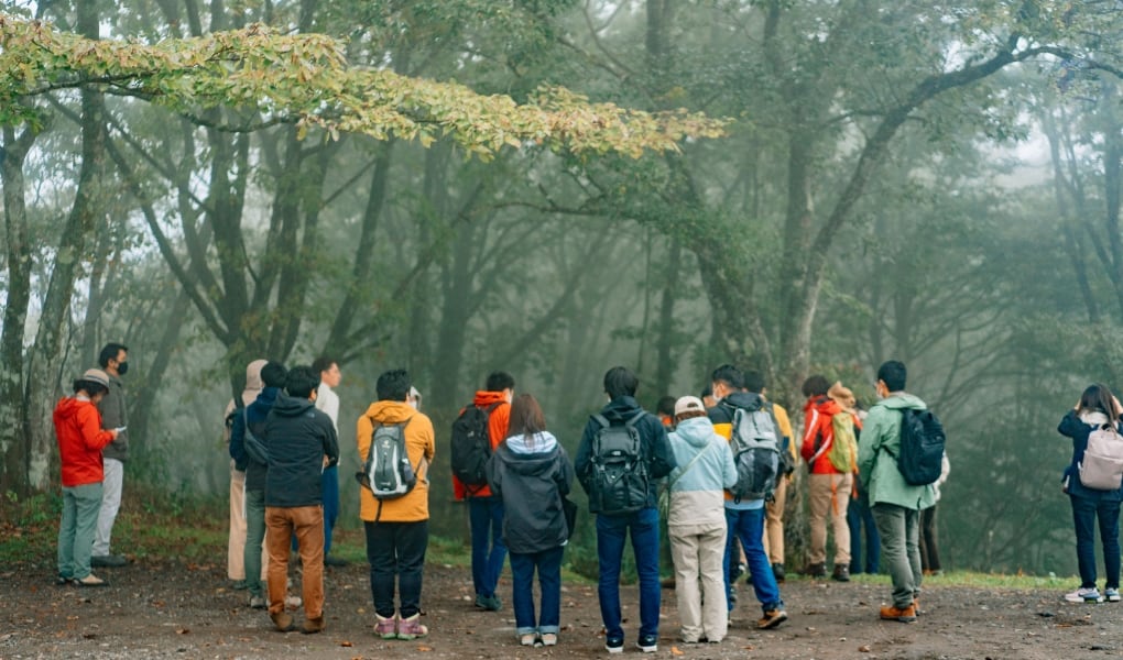 フィールドワーク参加者が霧雨の中できたもっくの森に生えている広葉樹について、説明を聞いている様子です。