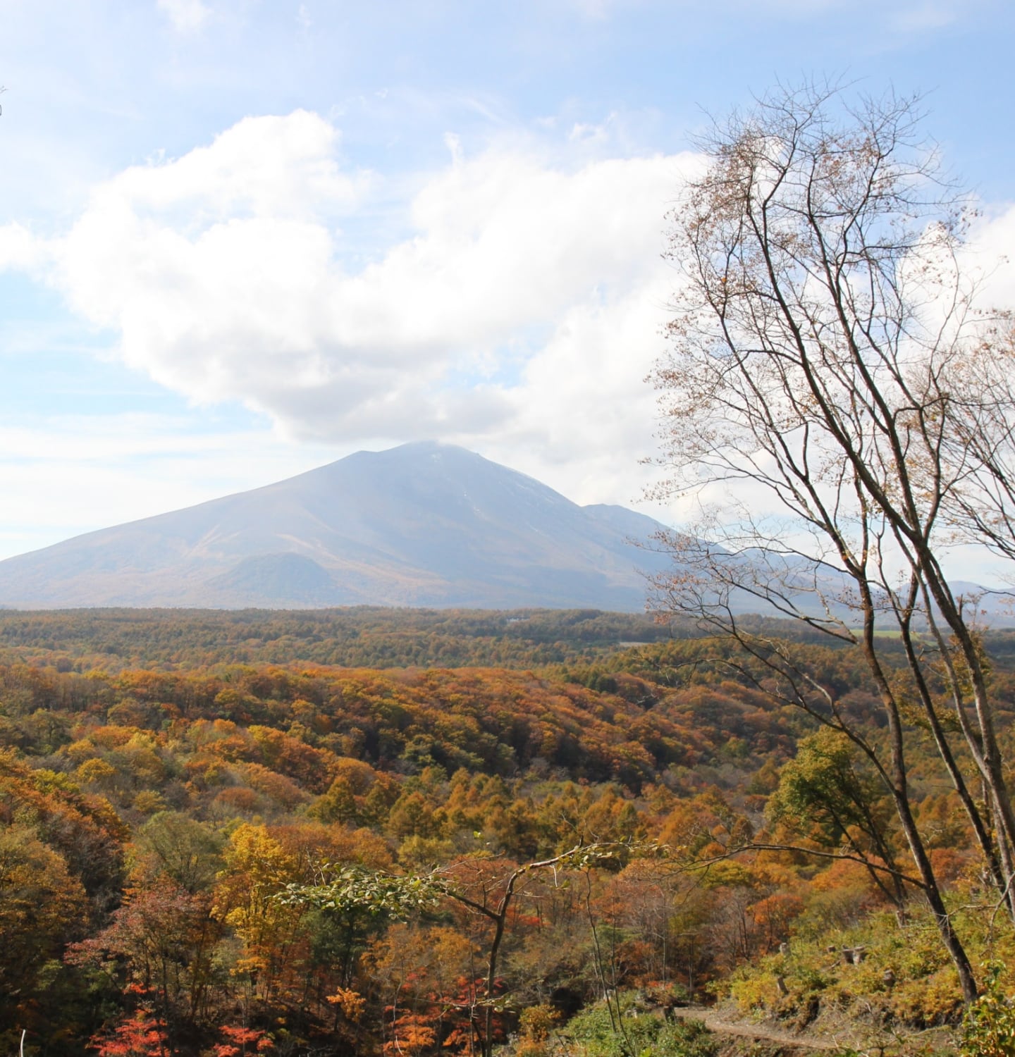 migakiba kitakaruizawaのイメージ画像。浅間山と紅葉する樹林が写っています。